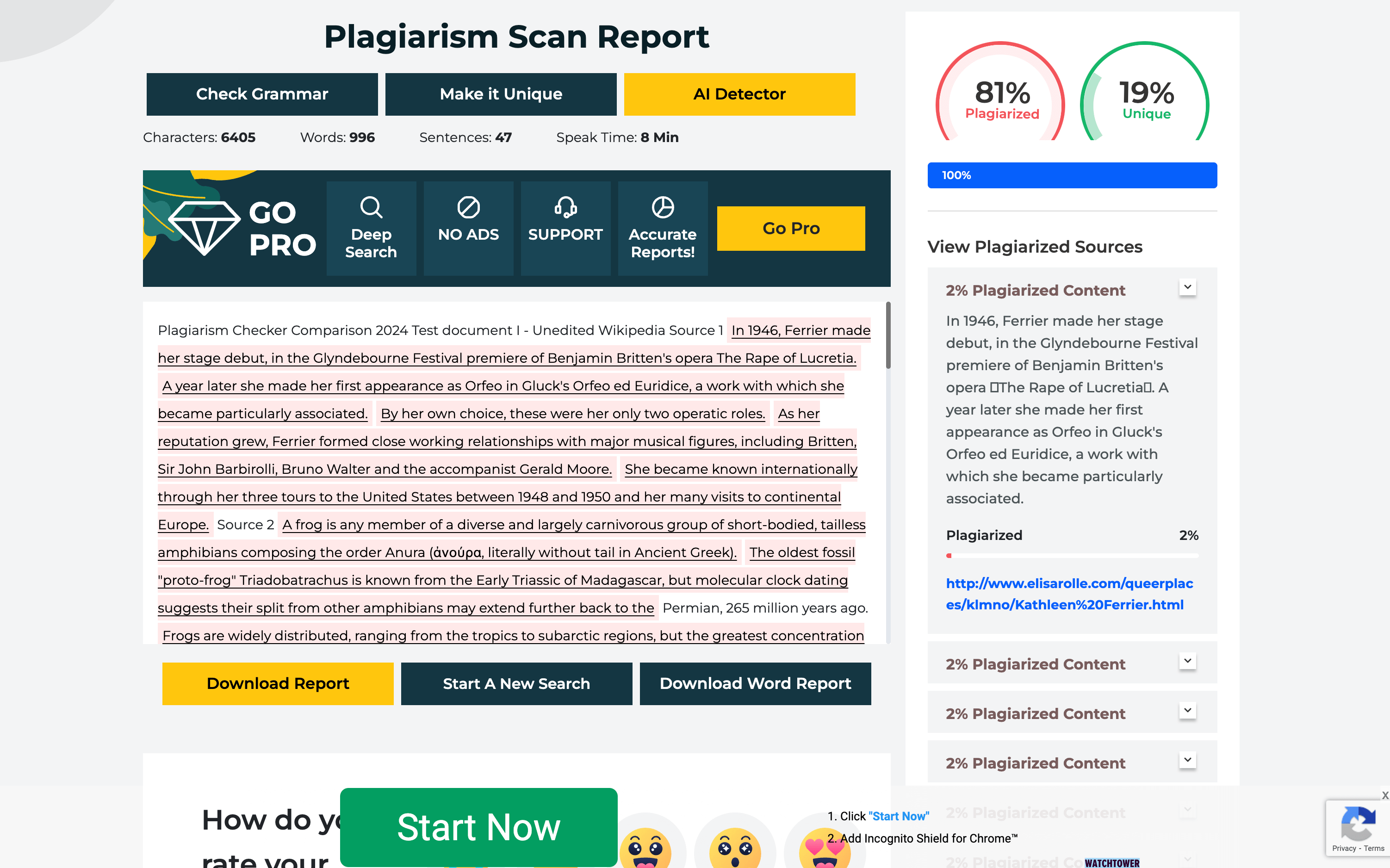 plag detector